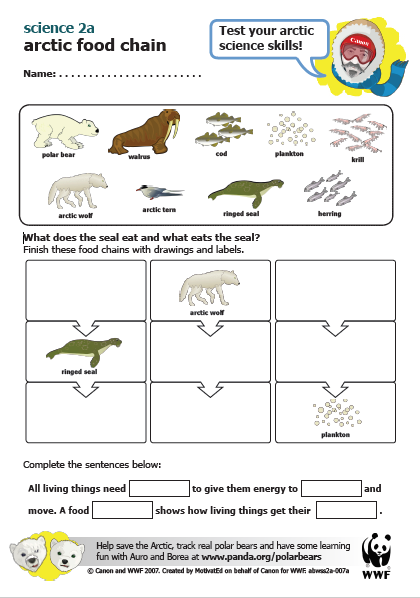 Year 2L Carr Lodge Academy: Topic/Science 01.04.20