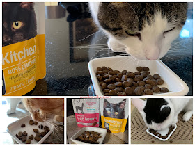 What's In The Box ©BionicBasil® Gus & Bella Take Meowt Valentine's Box - Sampling all the delicious noms