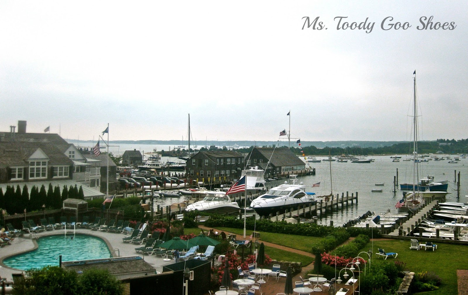 Best Hotel Room Views  --- Ms. Toody Goo Shoes