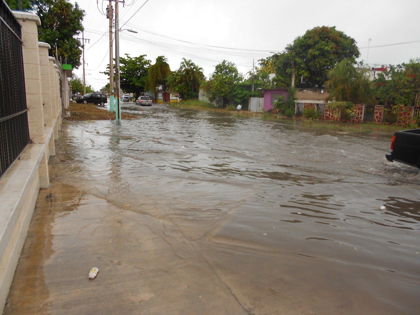 Elder Smith's Adventures