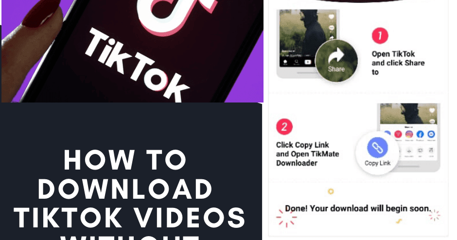 tiktok video downloader without watermark