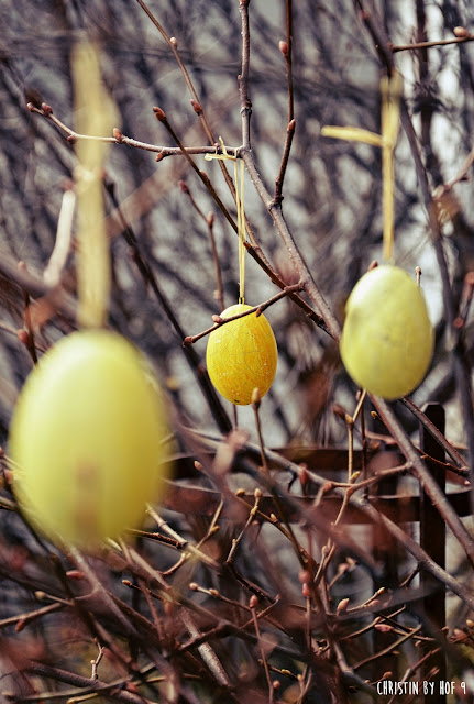 Hof 9: Innenhof II. Teil