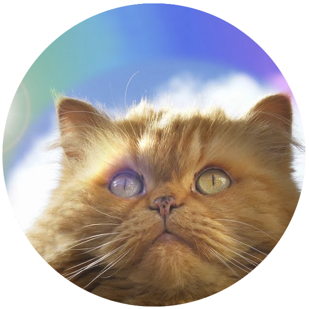 Glogirly Waking Up On The Wrong Side Of The New Year