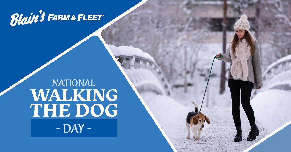 National Walking the Dog Day Wishes Photos