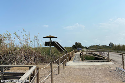 Pont de Través