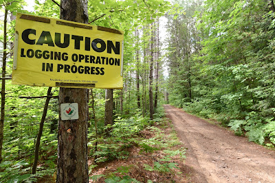 Trans Canada Trail sign on logging road Huntsville Ontario.
