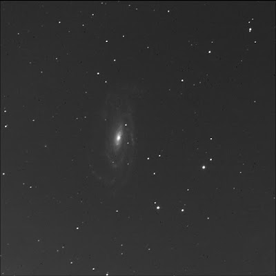 RASC Finest galaxy NGC 5033 in luminance