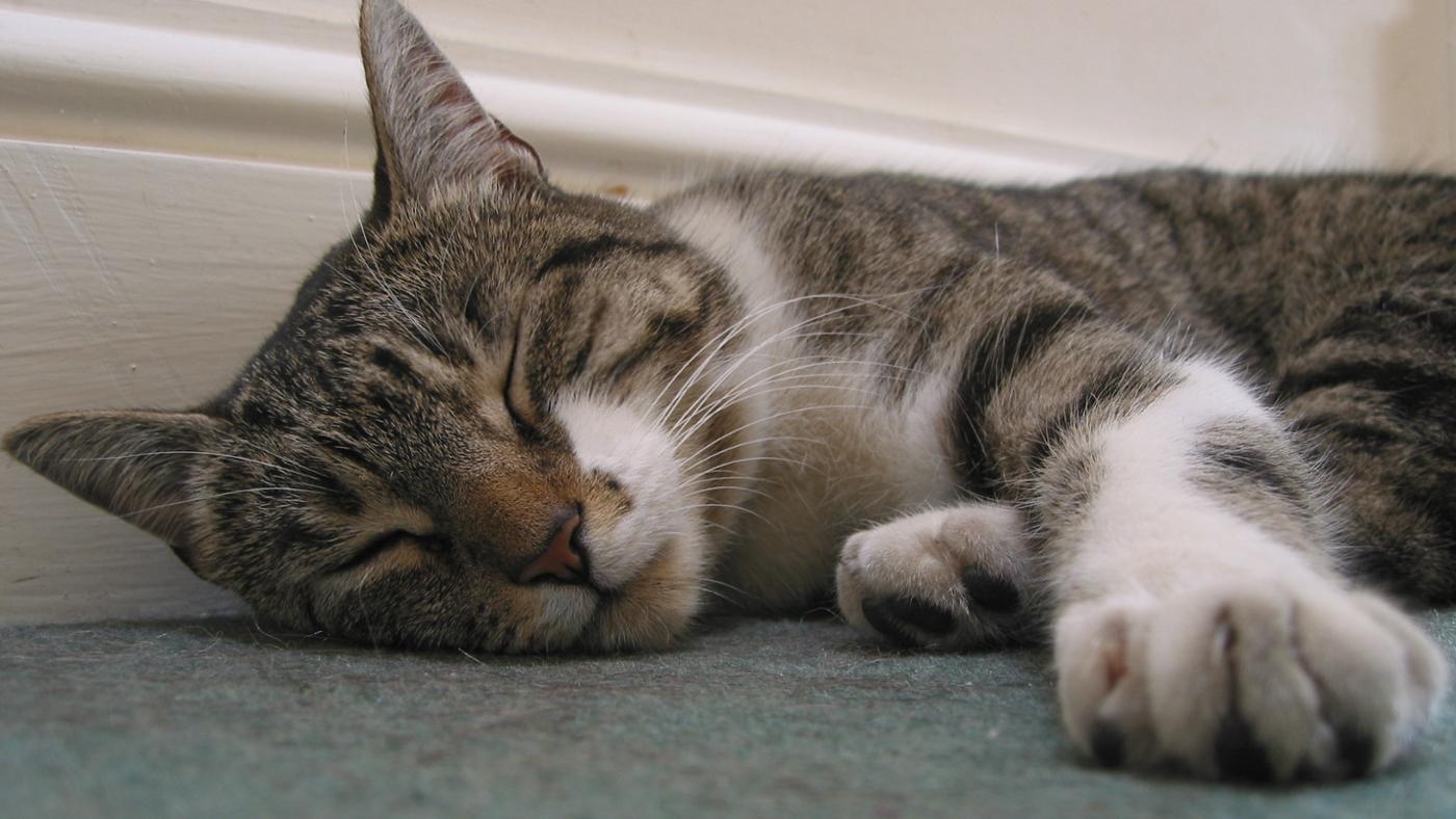 Раздражение слизистой оболочки