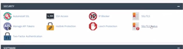 cpanel SSL and TLS option