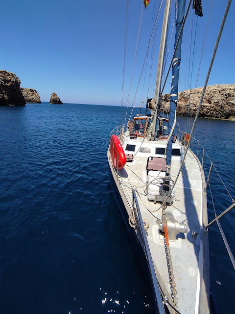 [Imagen: IMG_20210705_142551.jpg]