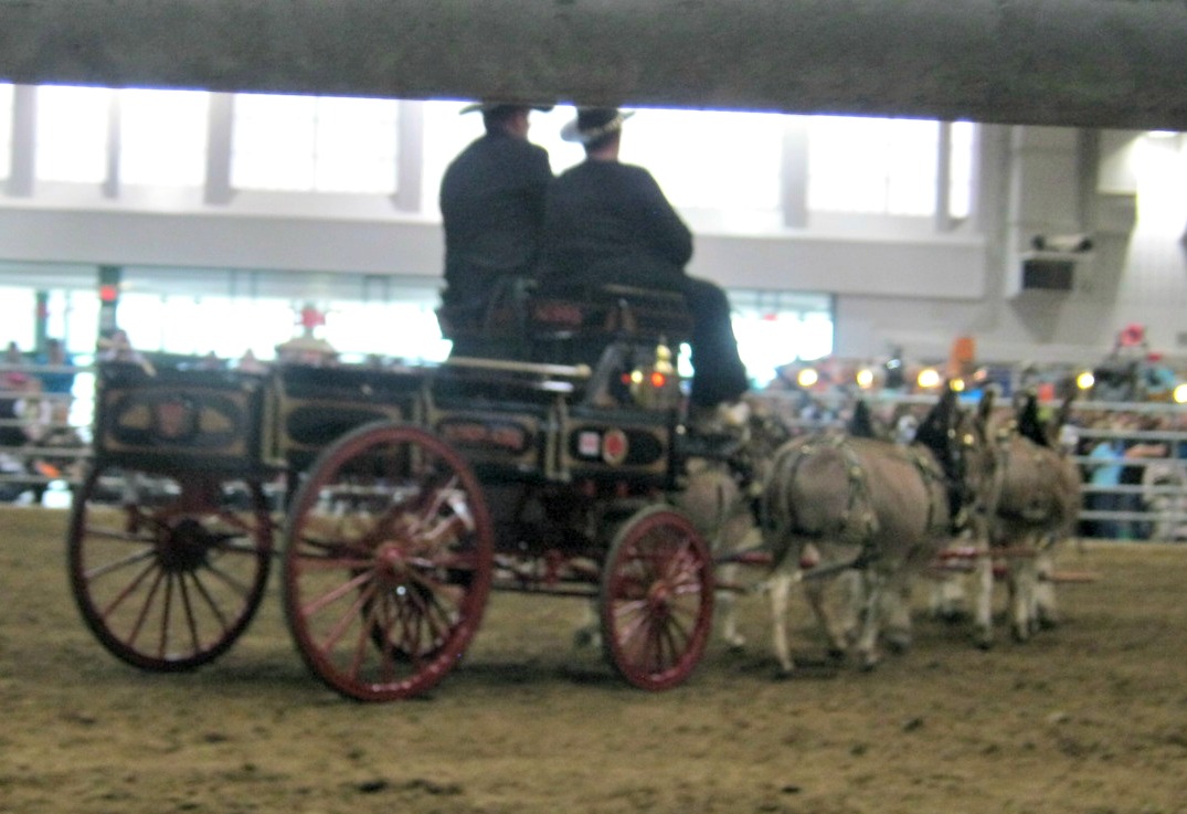 Sunwood Farms Hoosier Horse Fair