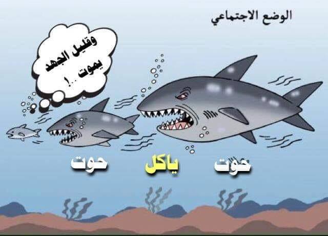 حوت ياكل حوت وقليل الجهد يموت حوت ياكل حوت وقليل الجهد يموت