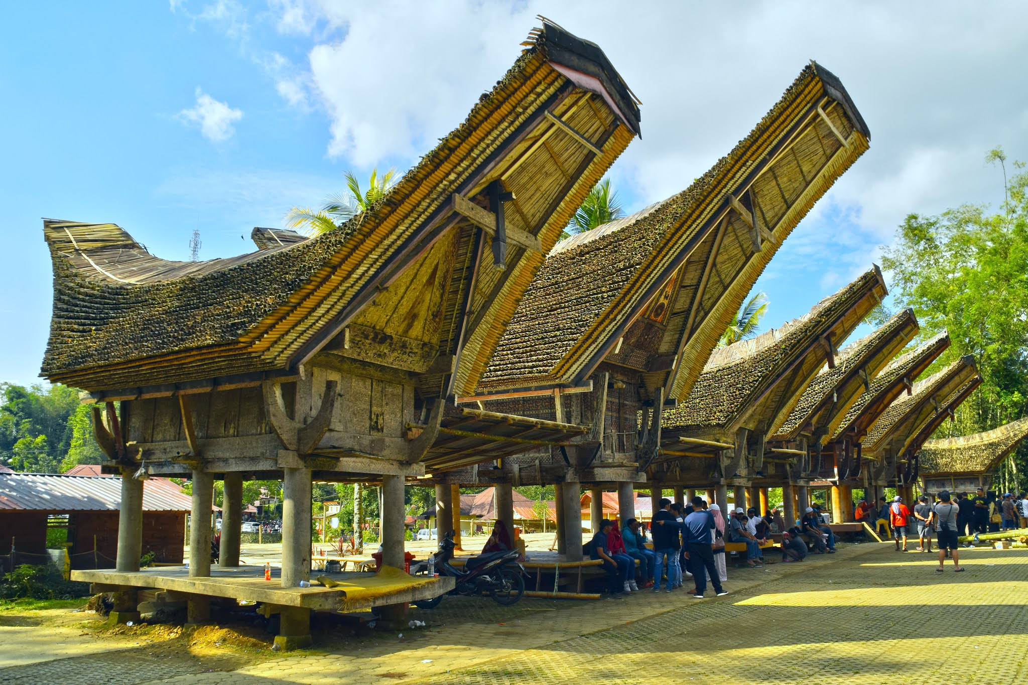 Tongkonan (Rumah Adat Masyarakat Toraja)