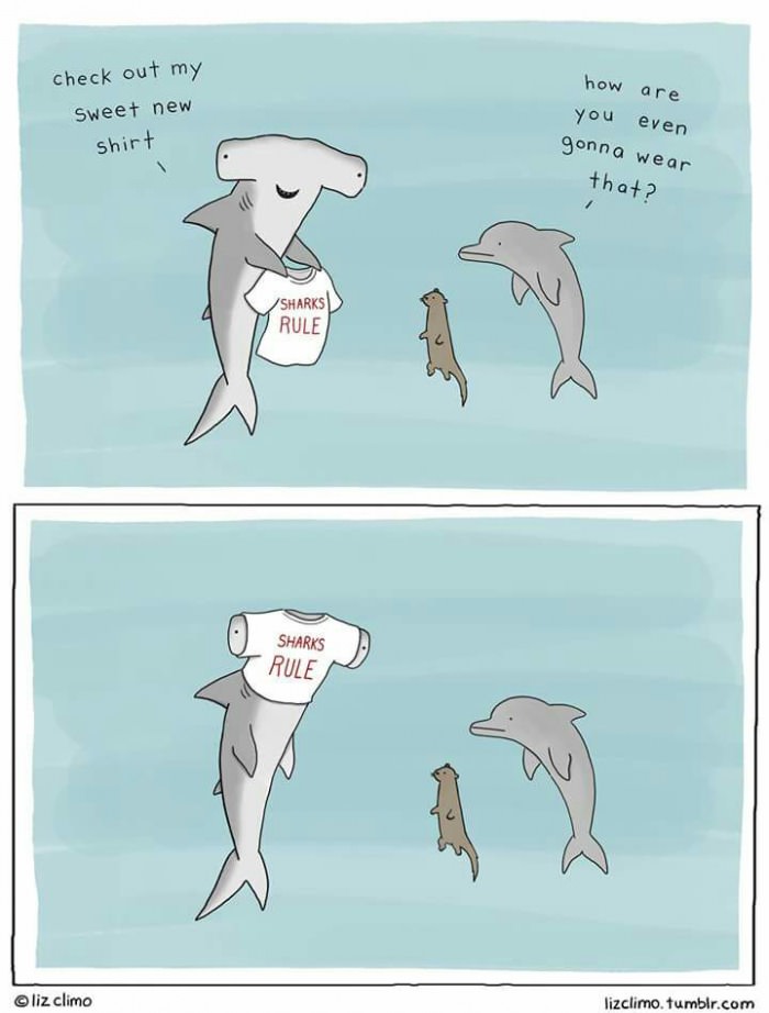 Stupid Jokes Photos Stupid Jokes Photos