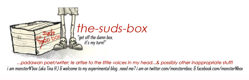the-suds-box