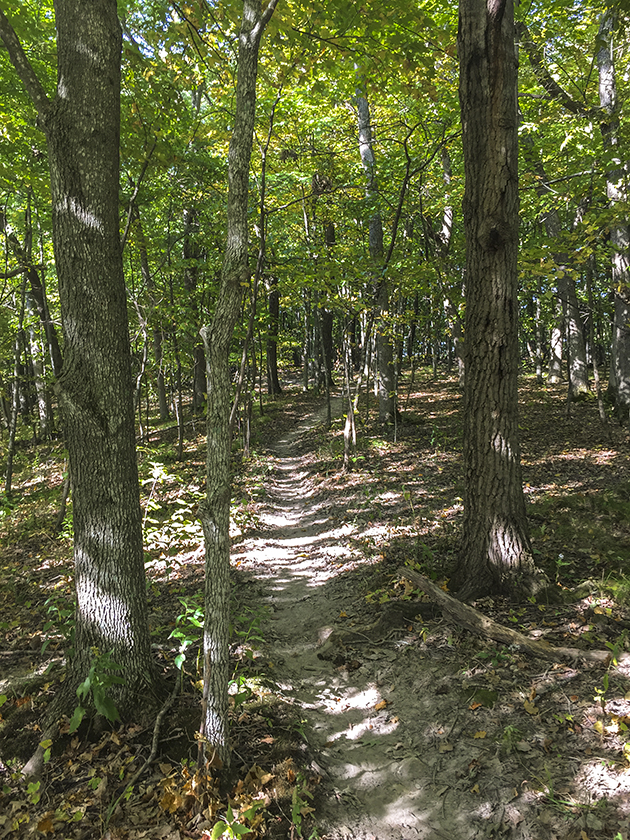 Hanson Rock Trail in the Kickapoo Valley Reserve
