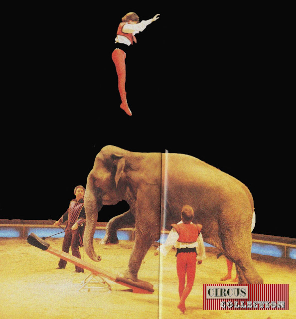 Louis Knie junior sautant depuis une bascule propulsée par un éléphant du cirque 