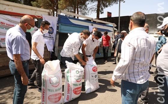 Diyarbakır Büyükşehir Belediyesinin desteğiyle Diyarbakır karpuzu özgünlüğünü koruyacak