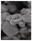 5 Micron Cerium Oxide Particles