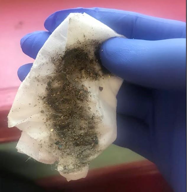 NYC Public School Parents High levels of lead dust found in city