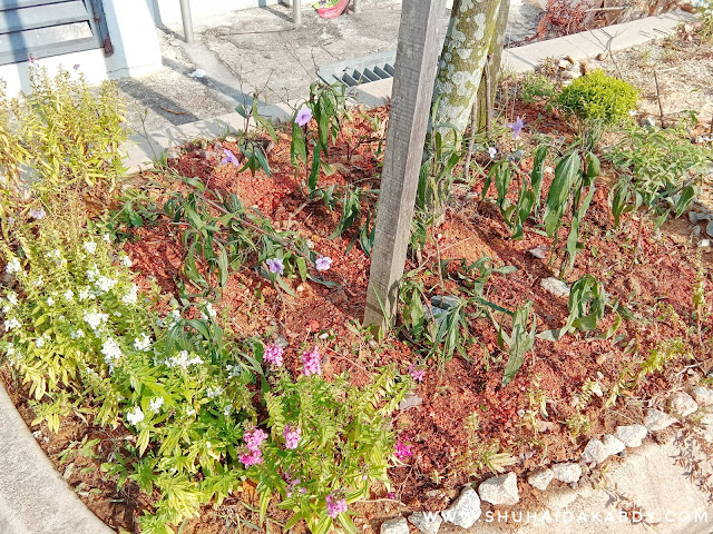 Cerita Taman Mini Kami Lagi Cerita Taman Mini Kami Lagi