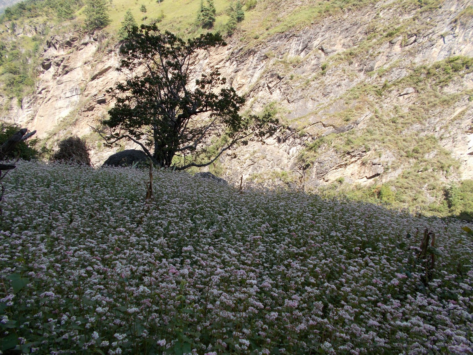 Вокруг Манаслу, долина Цум, Нар-Пу. Непал 2017.