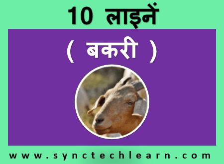 10 lines on Goat in Hindi - Bakri par nibandh ( बकरी पर छोटा और सरल निबंध )
