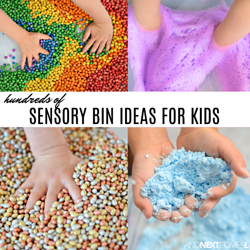 Sensory Bin Ideas And Next Comes L