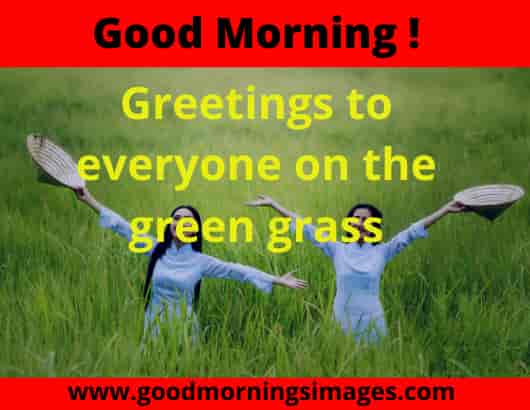 Good Morning Greetings Pictures