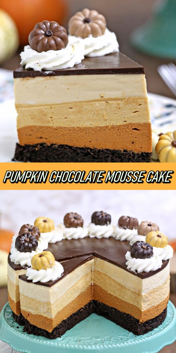 PUMPKIN CHOCOLATE MOUSSE CAKE - Recipe Notes