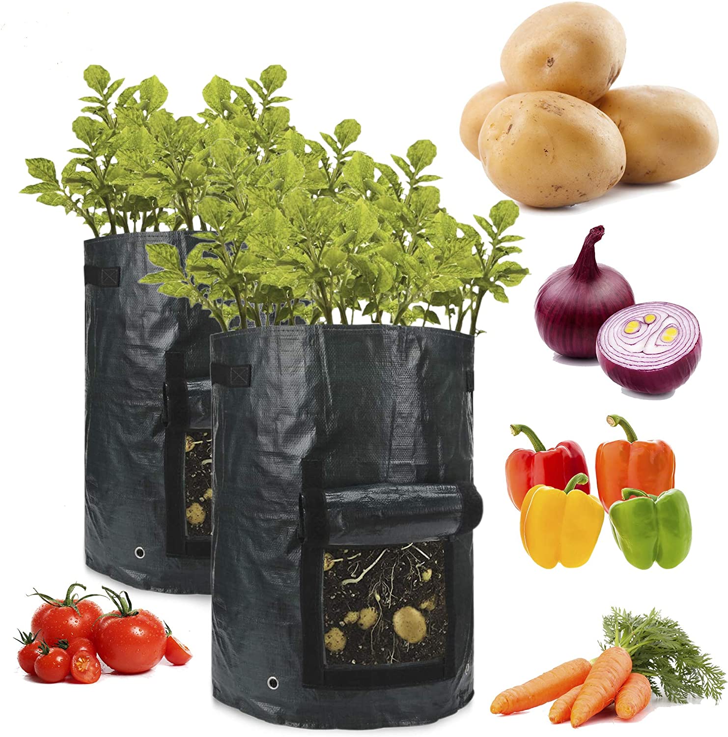 These 10 gallons potato bags are equally good for indoor planting and outdoor planting; including courtyards, balconies, gardens and other space. It can be used to grow multiple vegetables