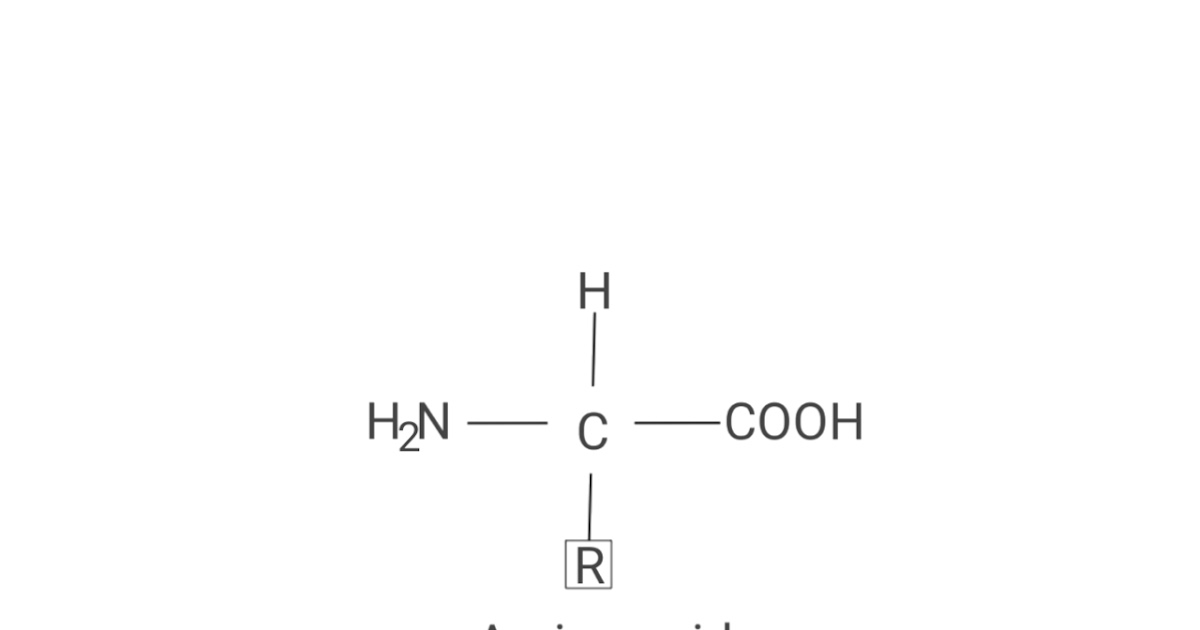 Natural polymers (proteins)