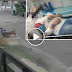 Tular Video Wanita Diserang Anjing Di Tanjung Minyak 