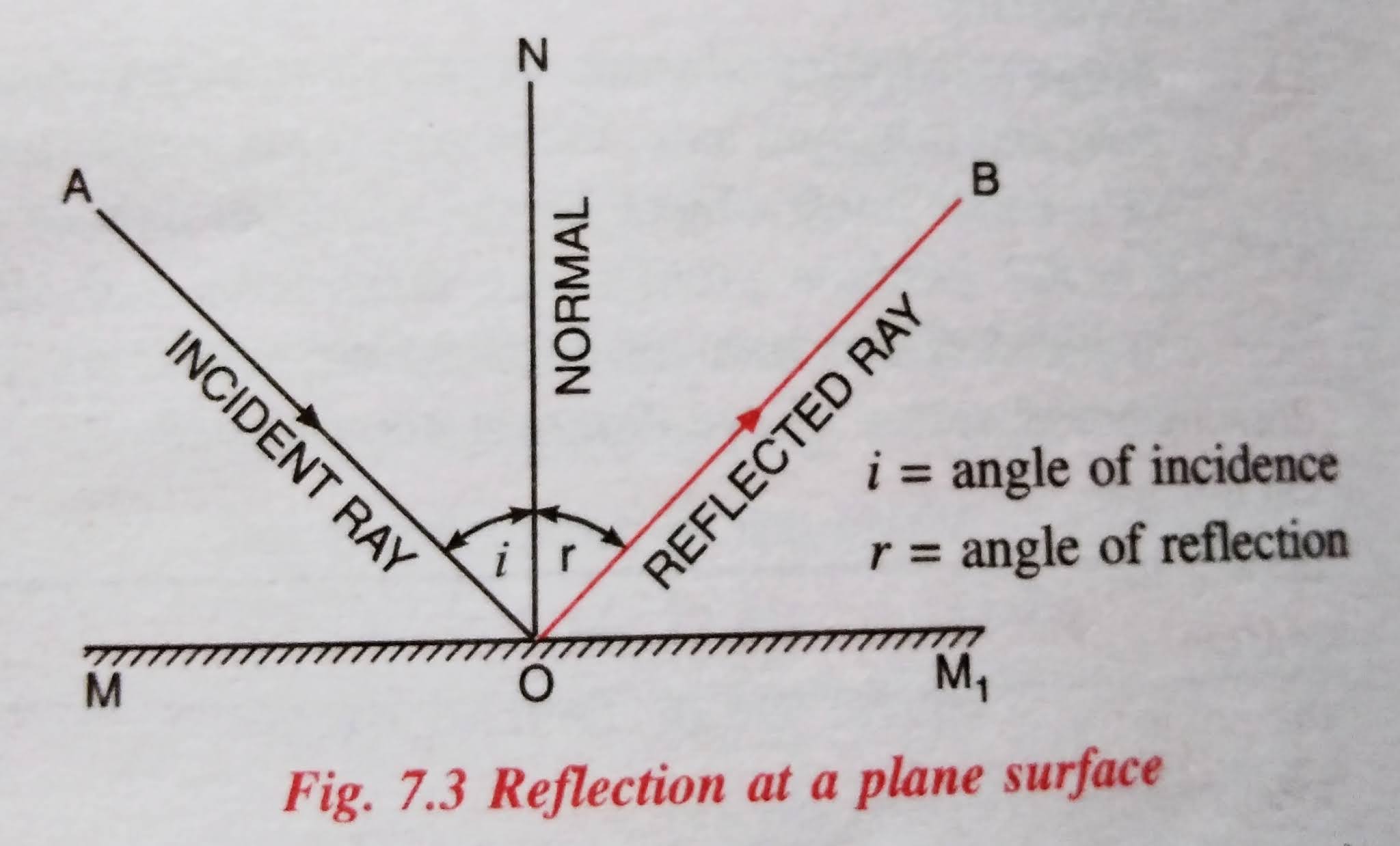 Class 8 Science Light Solution (Part 1)