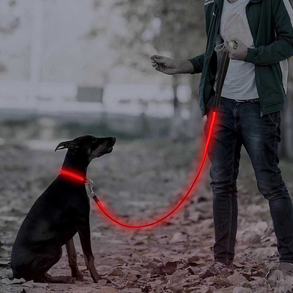 What the purpose to use dog collar safety strap?