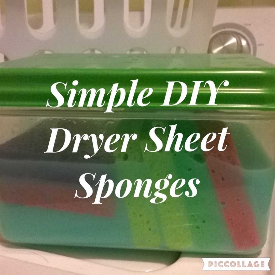My Really, Real Reality Simple DIY Dryer Sheet Sponges