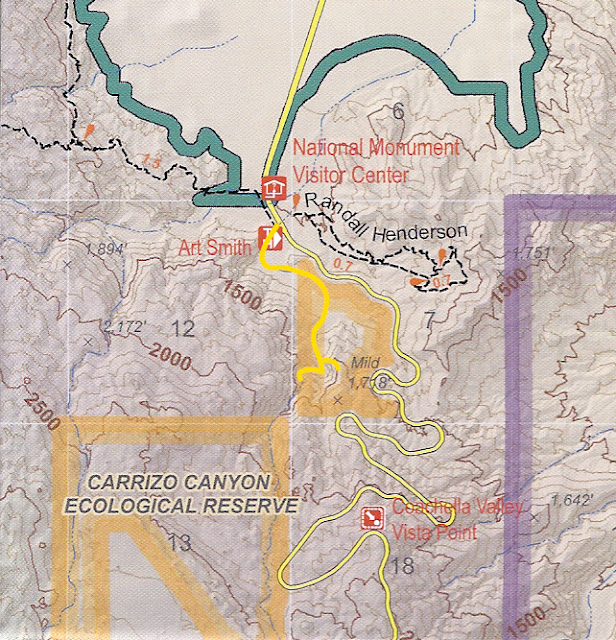 Mamma Quail Hiking California Once Again on The Chase Carrizo Canyon