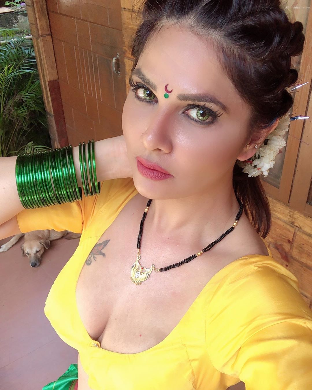 Aabha Paul hot sexy saree photos | Free download videos 
