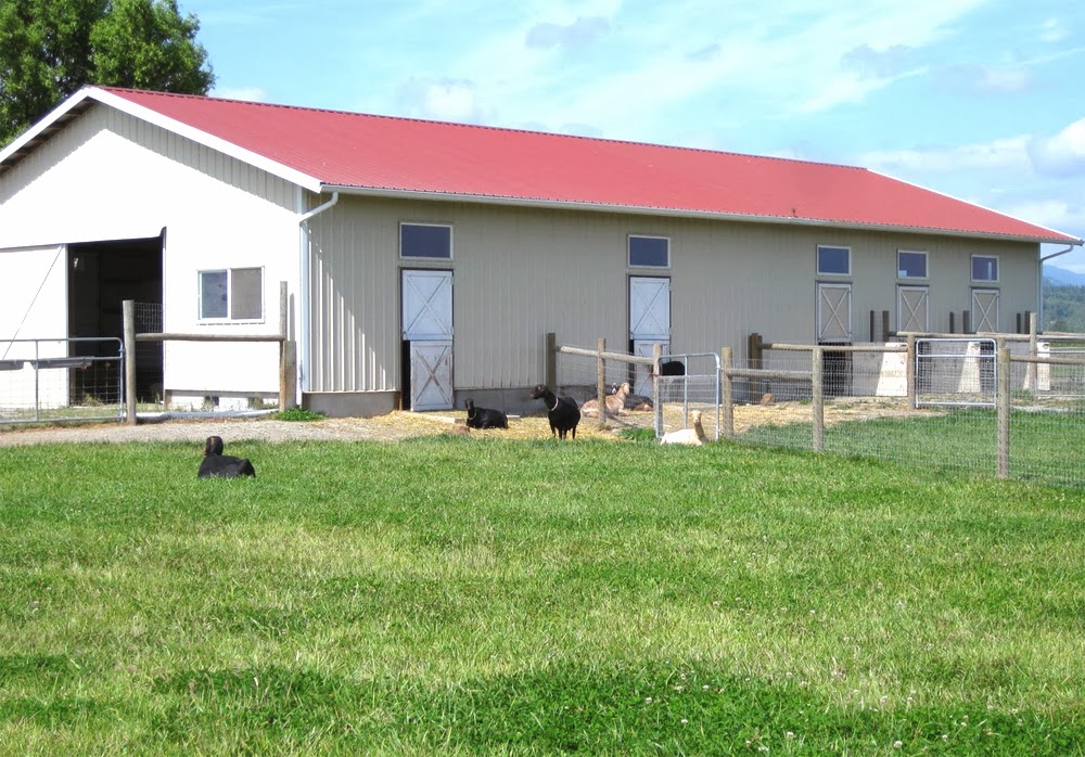 How To Make Dairy Goat Barns Modern Farming Methods how-to-make-dairy-goat-barns-modern-farming-methods