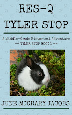 FIND 'RES-Q TYLER STOP' ON AMAZON