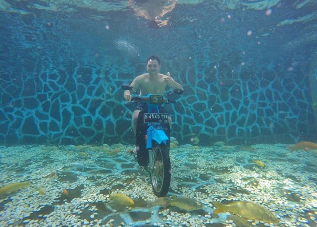 Dowes29.com: Wisata Woodland Cilimus Kuningan tiket masuk ...