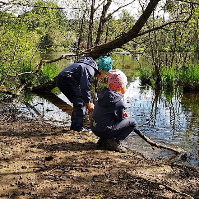 Küsten-Spaziergänge rund um Kiel, Teil 4: Entlang am Ufer der Schwentine. Pütschern ist ein herrliches norddeutsches Wort, ich erkläre Euch seine Bedeutung.