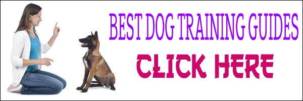 Best Dog Training Guides
