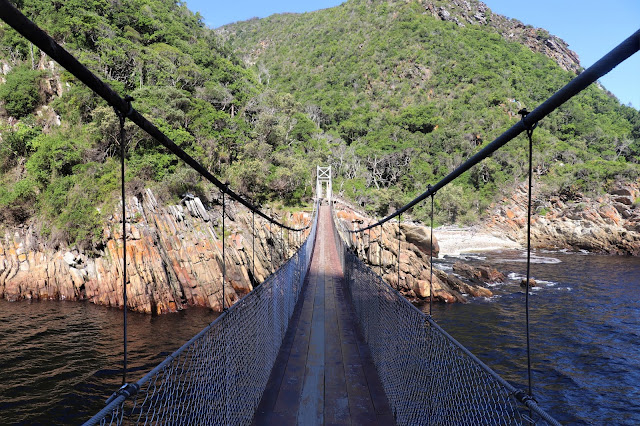 Suspension Bridge, Tsitsikamma National Park, South Africa