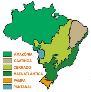 https://www.embrapa.br/ccweb/jogos/quiz-biomas-do-brasil