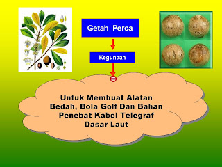 SEJARAH TINGKATAN DUA: HASIL HUTAN