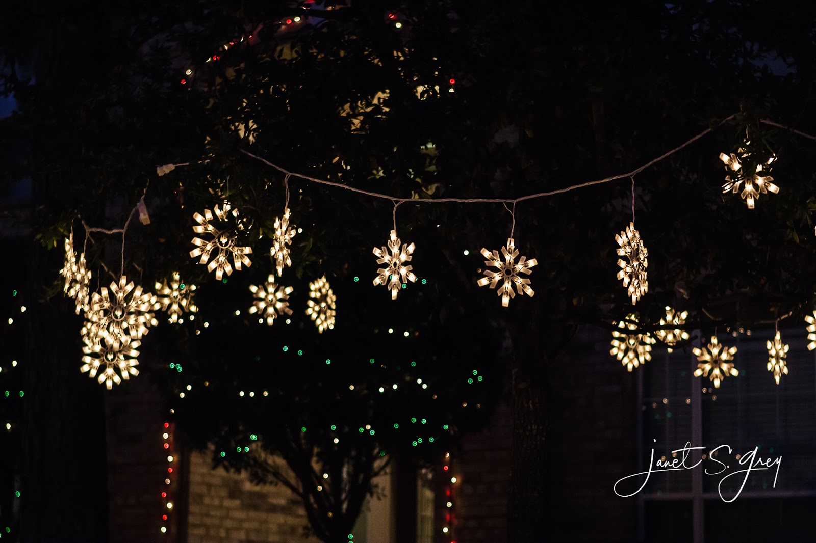 Neighborhood Christmas Lights JSGrey & Co.