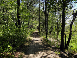 Hiking the Cowles Bog Trail in Indiana Dunes National Lakeshore in Indiana