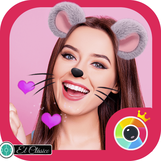 Приложение с мордочками. Как называется приложение с ушками и мордочками. Приложения мордочки на лице. Девушки в приложении для селфи с ушками. Приложение с ушками и носиком.