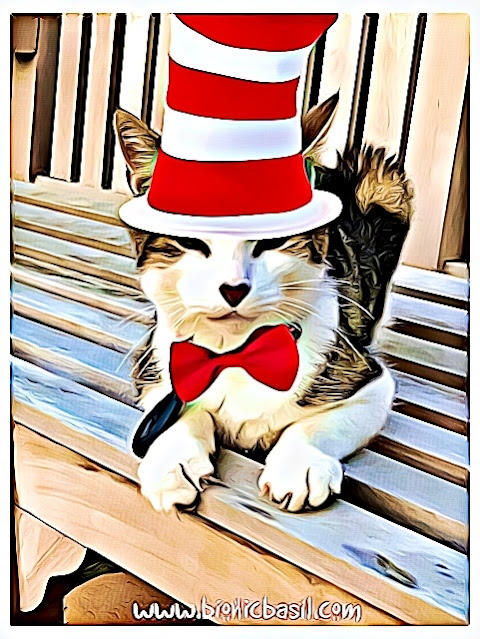 The Cat In The Hat ©BionicBasil® Dr Seuss Day 2021